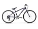 Raleigh Bikes Girls Alysa 24 Urban Fitness Bike, 24"/One Size, Purple
