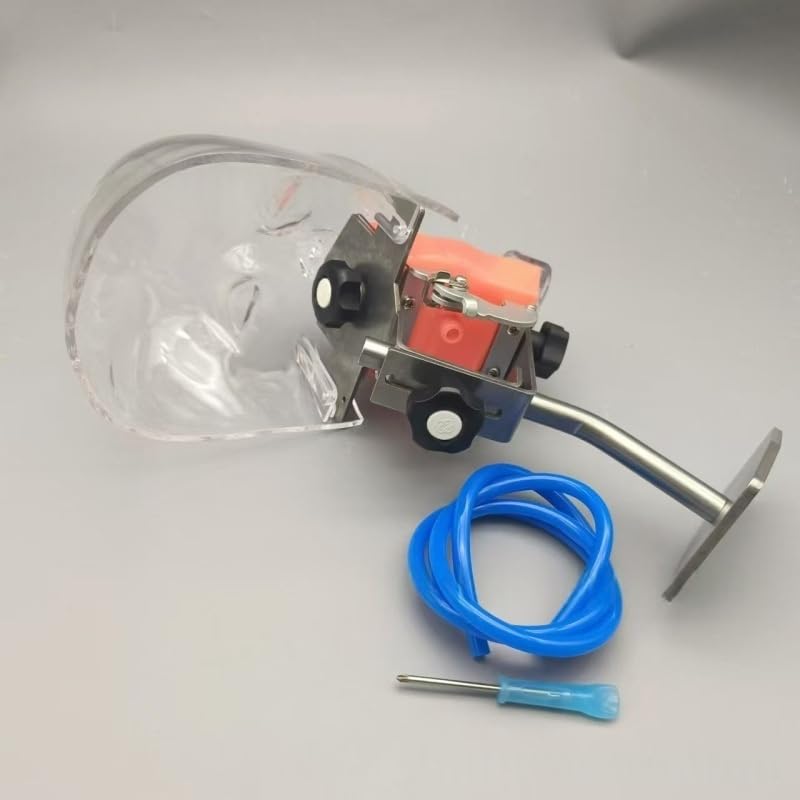 Amazon.co.jp: 歯の模型 歯科用ファントムヘッドモデル 上下顎 可換式