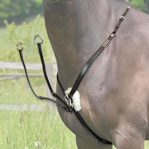 Harnais pour monter à cheval pour les balades nature et l'entraînement quotidien