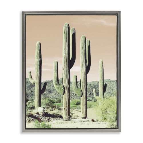 Towering Cactus Desert Nature, 24 x 30 Inch Canvas in Floater Frame