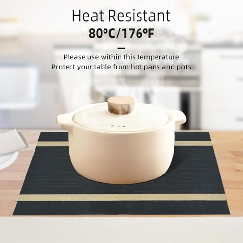 Image of Placemats Set of 6 Dining Table Place Mats | Placemats Table Mat PVC Material | Non-Slip Heat Resistant | Dining Tablemates Washable Anti-Skid | Size 45 x 30cm (A* Black)