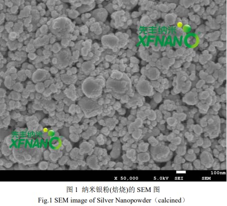 Research Grade Ultrapure Nano Silver Powder Ag Nanoparticles Silver Nanopowder 60-200nm Purity 99.9%-20 Gram