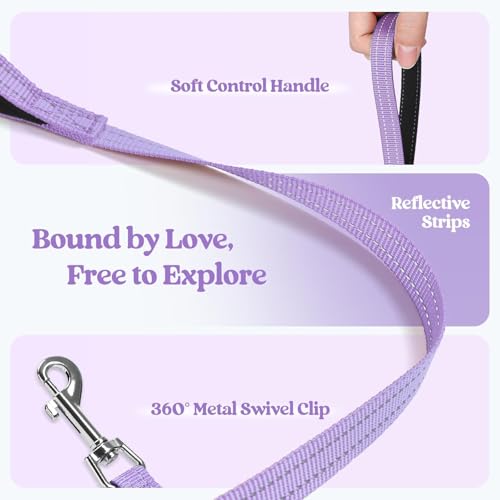 Rabbitgoo Step-In Harness & Leash Set (Light Purple, Small) — view 6