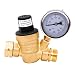 AccuMeter 3/4 Lead-Free Brass Water Pressure Regulator with Gauge Adjustable RV Pressure Reducer