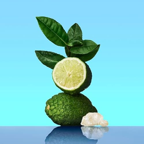 CALVIN KLEIN CK One - Unisex Eau de Toilette for All - Citrus & Aromatic Fragrance with Notes of Green Tea, Nutmeg and Musk - Medium Longevity - 200ml - Image 2