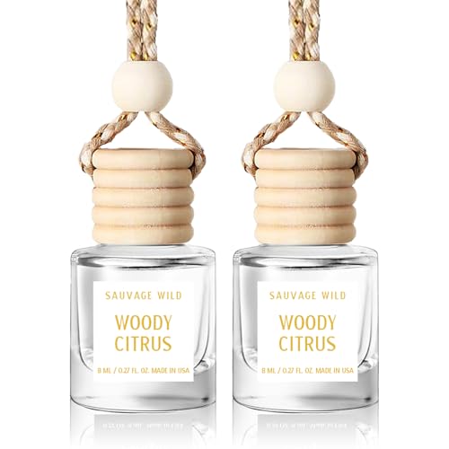 50% Off Burst Bird Car Air Freshener Hanging Diffuser (2 Pack)