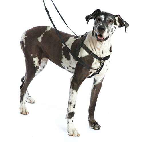 2 Hounds Design Freedom No-Pull No Leash Harness Only, 5/8-Inch, Small, Red #TOP2