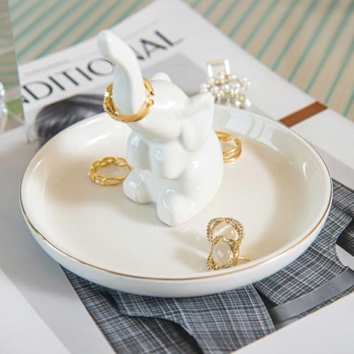 La Mejor Selección de Planta pata de elefante precio Top cinco. 27 La Mejor Selección de Planta pata de elefante precio Top cinco. 27