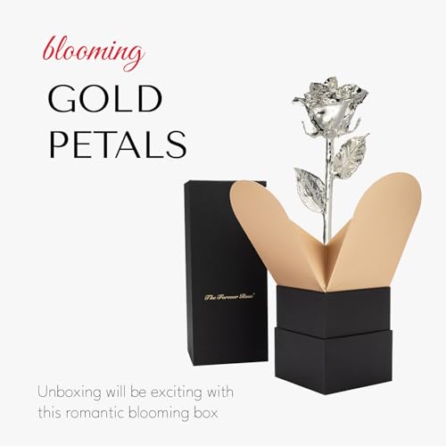 Image of Forever Rose Real Rose Dipped in Silver, Bloom Box and Phantom Vase