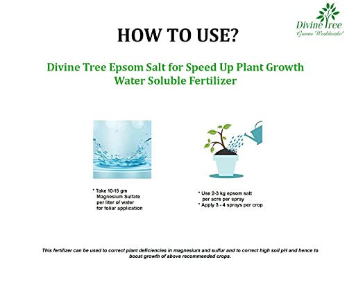 DIVINE TREE Epsom Salt Organic Water Soluble Plant Food For Speed Up Plant Growth Vegetables & Plants Nutrient - Boosts Flowering (Pack 1 (900 Gram))