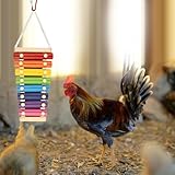 Bird Xylophone Toy - Wooden Musical Birds Toy, Vibrant Cage Hanging Plaything | Fun Parrot Training Toy Interactive Pet Entertainment, Lightweight Colorful Bird Cage Accessory Bird Music Toy - Image 9