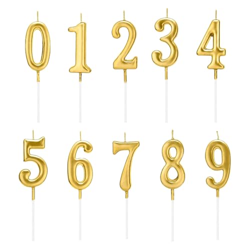 DFsucces P[Lgbp[ 0`9 10_Zbg o[Xf[i o[Lh j LO  ƃp[eB[ S[h