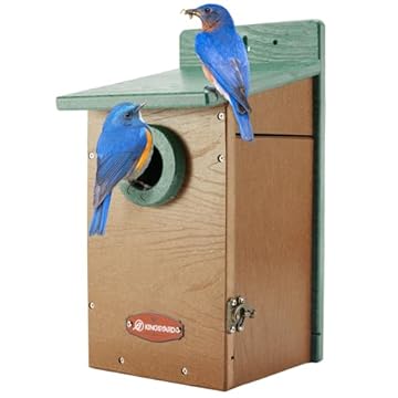 best recycled plastic birdhouses