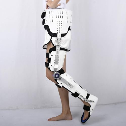 &OApG񑫑A֐߉AБGAҊ֐߉񕜂̂߂̒߉\ȃqWT|[gAj&