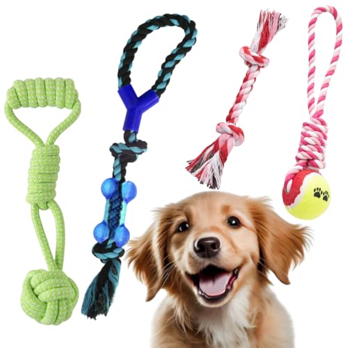 Brinquedo Pet Combo 5 Peças, Resistente, Antiestresse, Alivia Ansiedade de Cachorros, Cores Sortidas