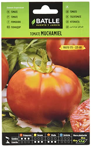 Semillas Batlle Tomate MUCHAMIEL