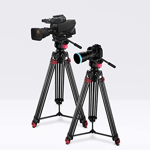 NEEWER 79"/200cm Video Tripod, Heavy Duty Aluminum Alloy Camera Tripod Stand with 360° Fluid Drag Head, QR Plate Compatible with Canon Nikon Sony and Other DSLR Camera Camcorder, Load Up to 17.6lb/8kg