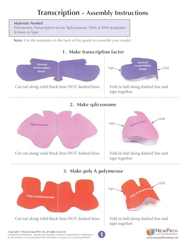 Image of NewPath Transcription 3-D Paper Model Making Kit - Individual Student Edition (24-7733)
