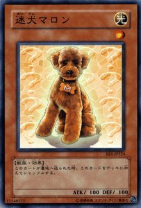 遊戯王 - まろん 61tCGtA1v4L._UF350,350_QL50_.jpg