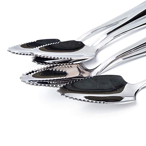 Jucoxo Grapefruit Spoons Set, 4 Pieces 6.1 Inch Stainless Steel Half Serrated Citrus Fruit Vintage Dessert Spoons Gift For Kitchen #TOP3
