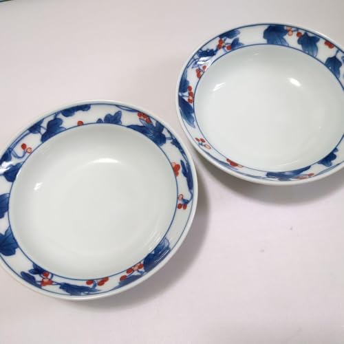 色鍋島 皿」の人気商品一覧 | 安い商品を通販サイトから探す - 価格.com