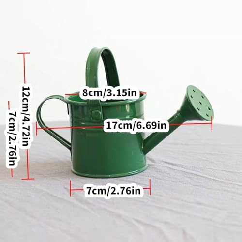 Arrosoir de jardin antirouille pour entretenir l'intérieur