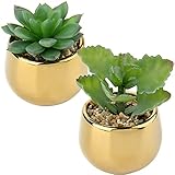 Briful Small Artificial Succulents in Pots Set of 2 Realistic Faux Succulents Plants with Gold Ceramic Pots Cute Mini Fake Plants Decor for Modern Home Table Office Desk Bathroom Shelf Decoration