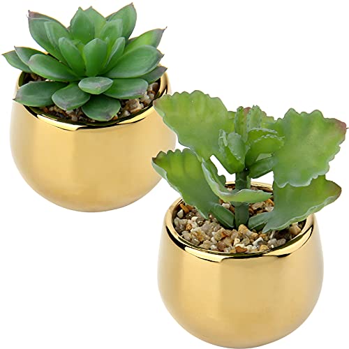 Briful Set of 2 Gold Pot Succulents
