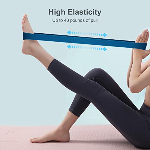 Resistance Band Set, 5 Latex Exercise Bands With 5 Resistance Levels, Skin Friendly Elastic Bands For Home Exercise, Physical Therapy, Strength Training, Yoga, Pilates - Blue #TOP4