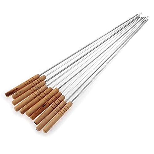 LPNJLALA 10 Pcs Barbecue Needle Reusable BBQ Barbecue Skewers Roasting Needle Roasting Tools Tong Kebab Skewers Stick for Outdoor Picnic Skewer