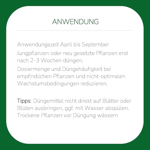 Substral Spezial-Flüssigdünger für Balkon- & Kübelpflanzen, 2L - Langanhaltende Blütenpracht & Gesundes Wachstum 5
