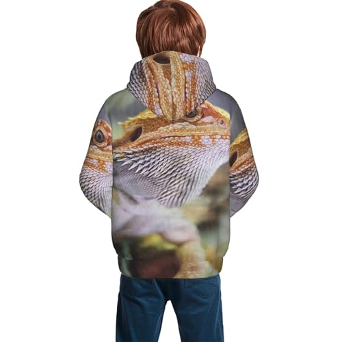 Dragon Lizard Boy, Girls Sports Shirt Youth Pullover Fashion Hooded Sweatshirt2