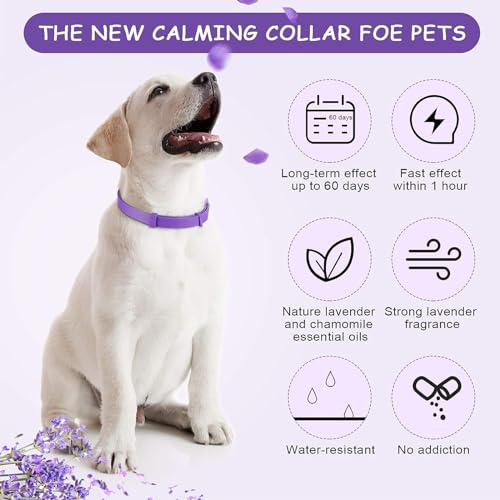 XoeLLe Beruhigungshalsband für Hunde, 2 Pack Verstellbares Calming Collar for Dogs, Beruhigungsmittel Halsband 60 Tage Schutz, Angst Stress Pheromon-Beschwichtigungshalsband für Große, Mittlere Hunde