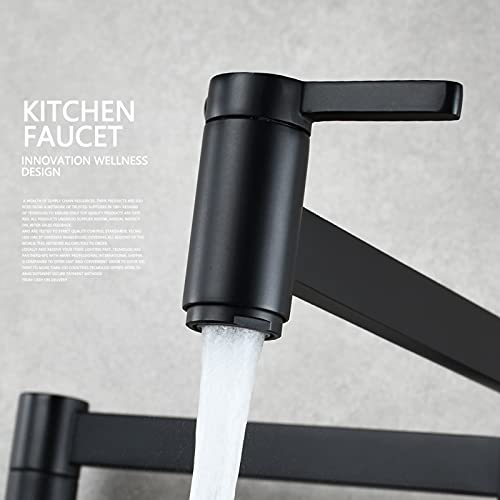 Grifo de cocina monomando de latón cepillado de pared extensible con dos manetas 7