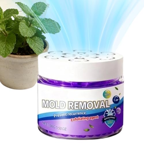 Purificador de aire para el hogar, de limpieza a prueba de polvo compacta multifunción – de eliminación de polvo, para apartamento, garaje, habitación de armario, dormitorio y otros Espa a