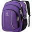 17.3in-purple