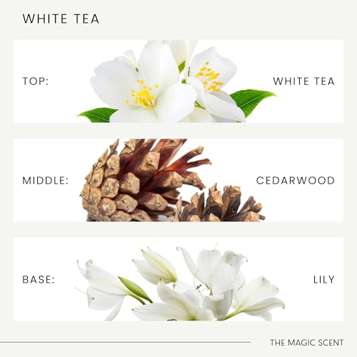 Difusor de varillas aroma White Tea & Baccara miniatura 7