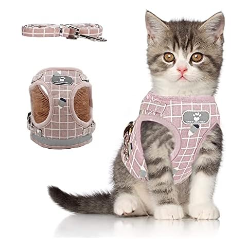 iZiv Cat Harness and Leash Set for Walking Escape Proof,Soft Mesh Harness Adjustable Kitten Harness with Reflective Strips, Step-in Comfortable Outdoor Vest Harness Cover