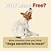 Dear Labs Chew Chew Treat Goat Milk & Strawberry for Dogs Low-Calorie, Healthy Treat Snack