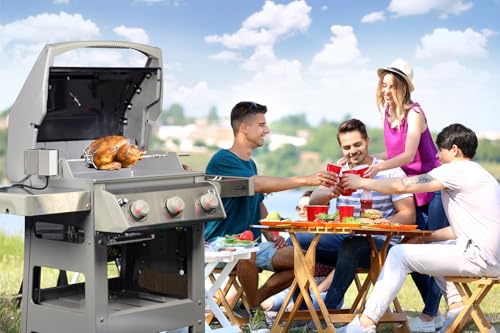 Onlyfire BRK-6045 Edelstahl Grillspieß, Set passt für Weber Spirit 200/300 & Spirit II Serie 200/300 Gasgrills