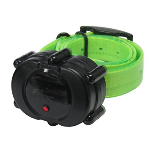 DT Systems Micro-IDT Remote Dog Trainer Add-On Collar in Green