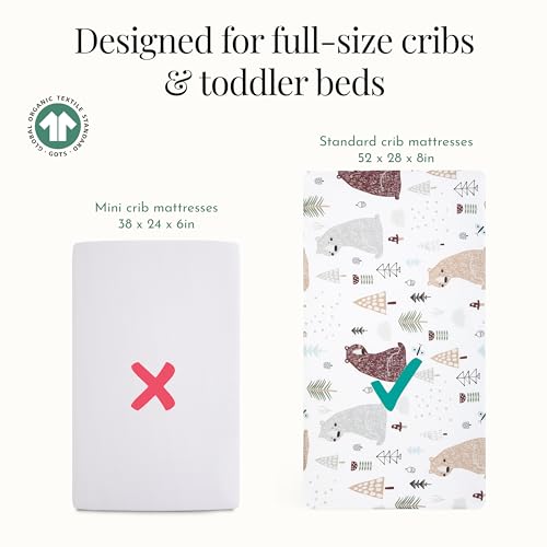 Image of Evolur Grizzly Bear 3 Piece Crib Bedding Set, Machine Washable, Soft and Breathable Toddler Bedding Set, Includes Fitted Sheet, Wearable Blanket and Crib Skirt