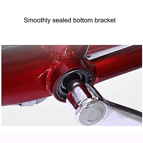 20-Zoll-Dreirad für Erwachsene, Single-Speed-Shopping, 3-Rad-Fahrräder mit Korb, dreirädriges Cruise-Bike für Outdoor-Sport-Picknick-Shopping (Beige) – Bild 5