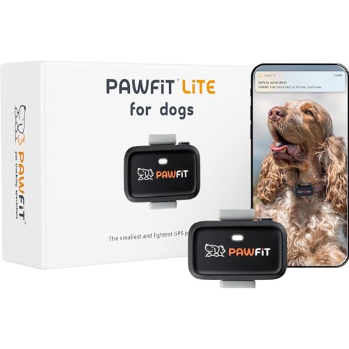 Pawfit Lite for Dogs 4g GPS Tracker | Real Time Tracking