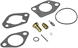 Briggs and Stratton 799662 Carburetor Repair Kit Lawn Mower Replace...