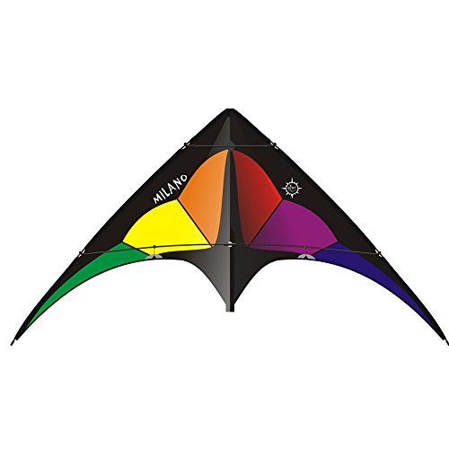 Cerf-volant Elliot Milano GRainbow de sport pilotable deux lignes pour adulte