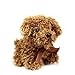 Jouet en peluche caniche de 12 cm en forme d'animal soufflé - Porte-clés en peluche - Marron clair