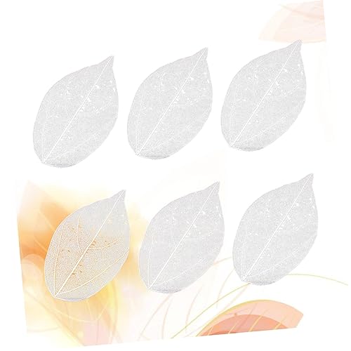 6pcs hojas secas naturales blancas para manualidades miniatura 3