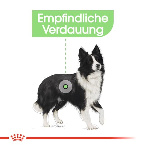 ROYAL CANIN Digestive Care MEDIUM Trockennahrung für Hunde – 12 kg