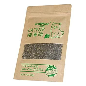 Aquatic Kart Catnip 10g for Cats cat Toy